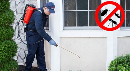 Uluborlu Pire İlaçlama böcek ilaçlama ve haşere kontrolü — ilaclama-tr.com